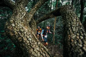 BIB: 
                            <button type="button" onclick="openModal(25394142)" class="btn btn-primary btn-sm float-right btn-popup" data-toggle="modal" data-target=".modal-high-quality">
                        <i class="fas fa-shopping-cart"></i> Add to Cart
                    </button>
                                            <button type="button" onclick="isThisMe(25394142, true)" class="btn btn-success btn-sm float-right btn-popup btn-isme hidden" data-toggle="tooltip" data-placement="bottom" title="นี่คือรูปของคุณใช่ไหม คลิกที่นี่เพื่อเอาเข้าอัลบั้ม">
                        <i class="fas fa-plus"></i> Add to album
                    </button>
                    <button type="button" onclick="isThisMe(25394142, false)" class="btn btn-warning btn-sm float-right btn-popup btn-isnotme hidden">
                        <i class="fas fa-ban"></i> Remove from album
                    </button>